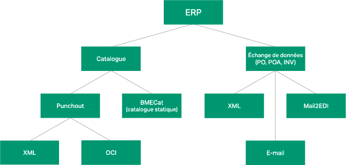 Grafik ERP_Pfade_FR.png