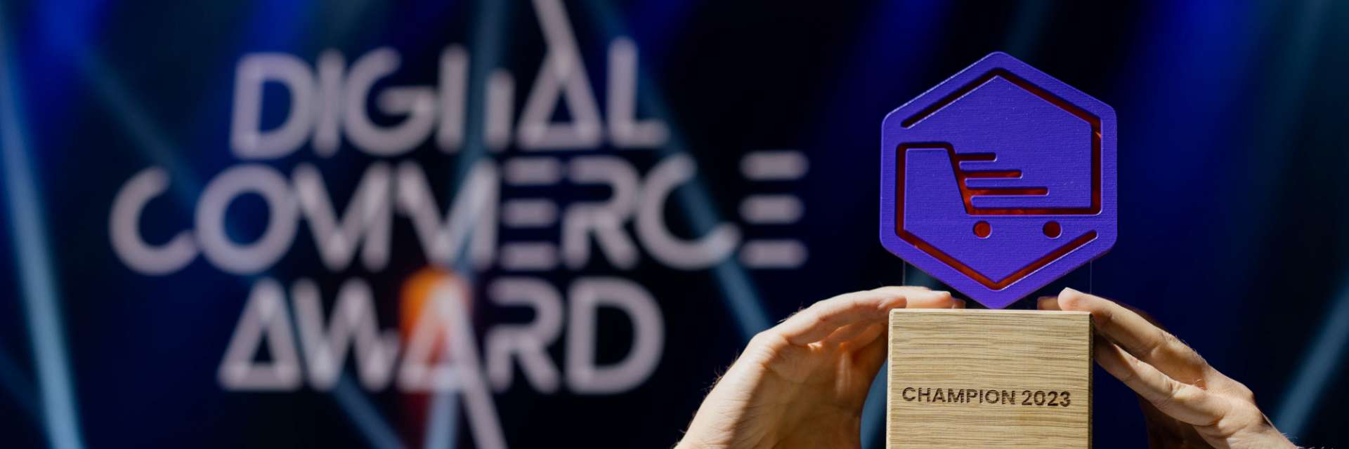 Digital Commerce Award 2023